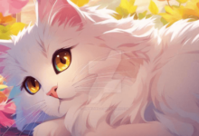 Anime:6j_67cx_Pgi= Cat Cute