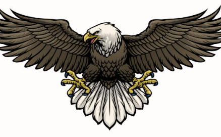 Logo:-Xxmssqgnyq= Eagles