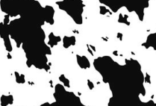 Printable:9rbusoxzi8m= Cow Print