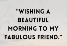 Beautiful:4wa5fnwybvi= Friendship Quotes