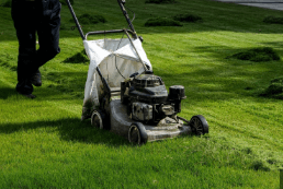 Lawn Care Services to Maintain a Healthy and Green Lawn