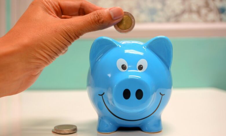hdfc pharmaceutical and investment