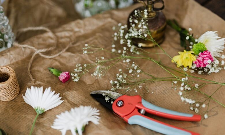 large icicle pruning tool