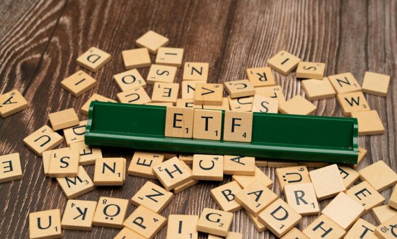 edel mid cap investment