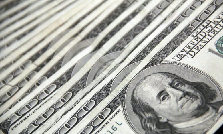 hsbc multi cap investment fund