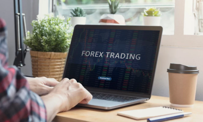 Forex Market Beginners: From Spectator to Trader
