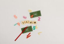 scam call phone numbers