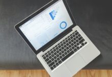 intelligence report identification numbers