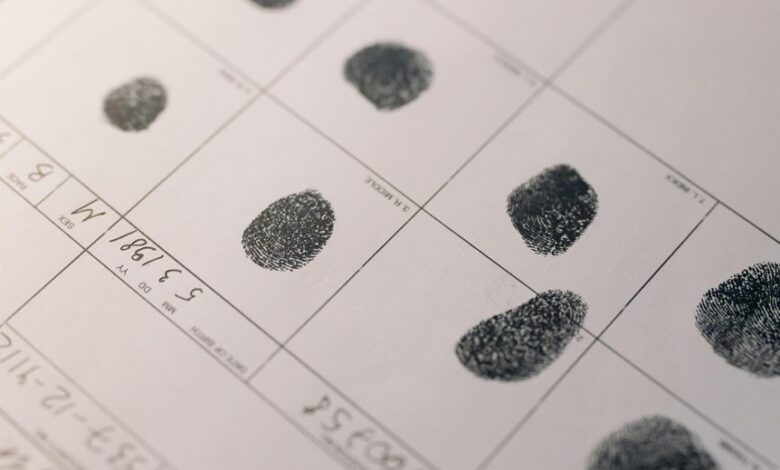 identification report summary available