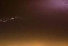 leadership development program unleashed