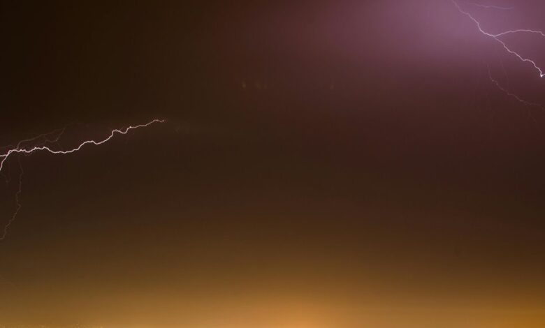 leadership development program unleashed