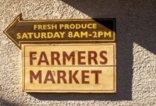 marketing guide for market engine 2294364671