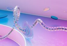 neural spiral apex beam