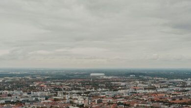 online expansion growth plan four words