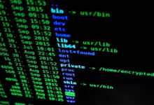 corporate data check sequence numbers