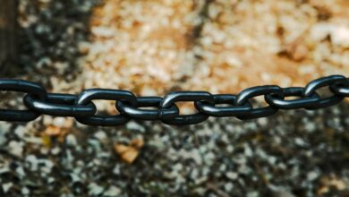 next generation record validation chain