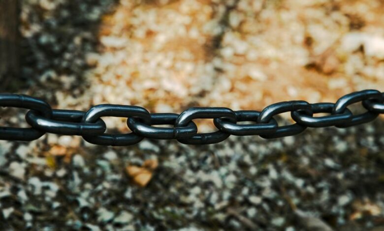 next generation record validation chain