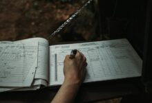 system health observation logs identifiers