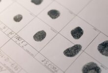 system record scan identifiers and versions