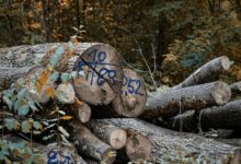 unified system integrity mapping logs