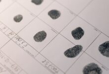 background checks for multiple ids