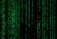 numeric ids revealing a dataset sequence
