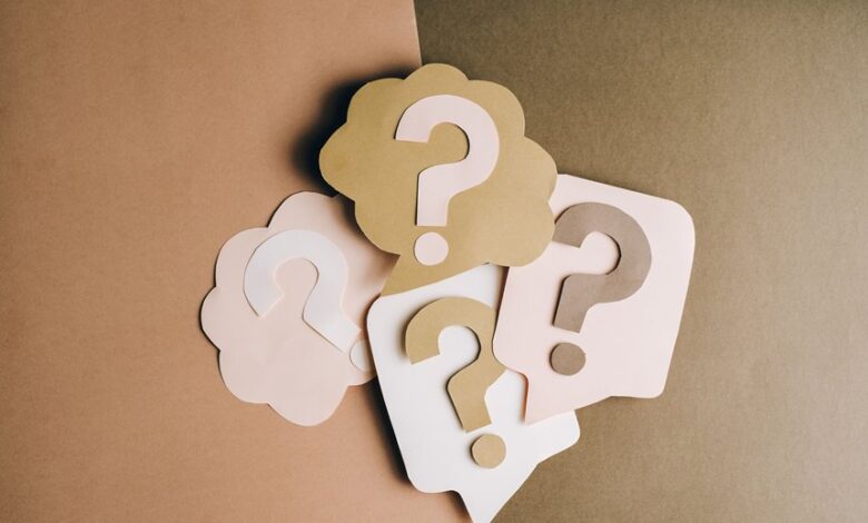 rapidientity faq summary common questions answered