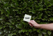 what makes dinitybe important today